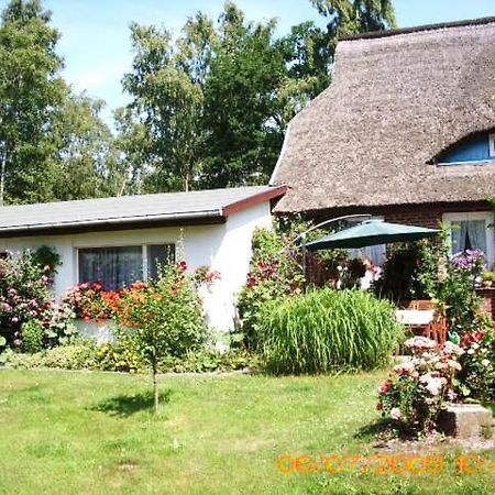 Ferienwohnung "Kleine Deichperle" Prerow Exterior foto