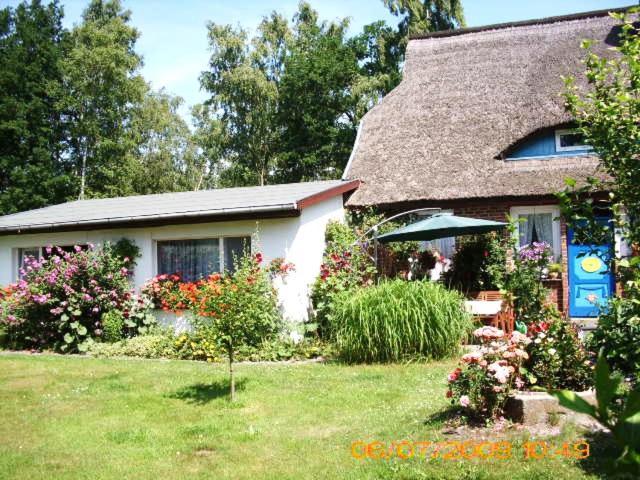 Ferienwohnung "Kleine Deichperle" Prerow Exterior foto